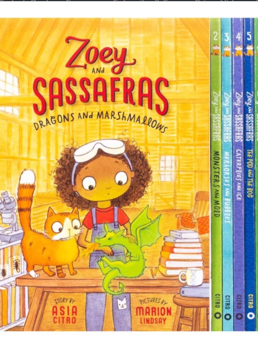 NEW Zoey and Sassafras Books 1-6 Pack By Asia Citro (Author) Marion Lindsay (Pic